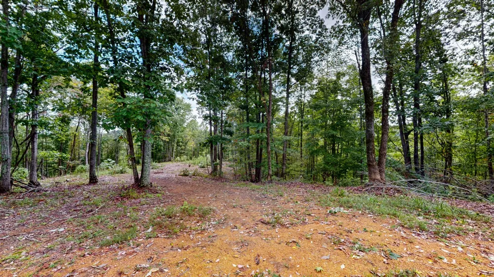 352 Briarwood Dr Linden, TN 37096