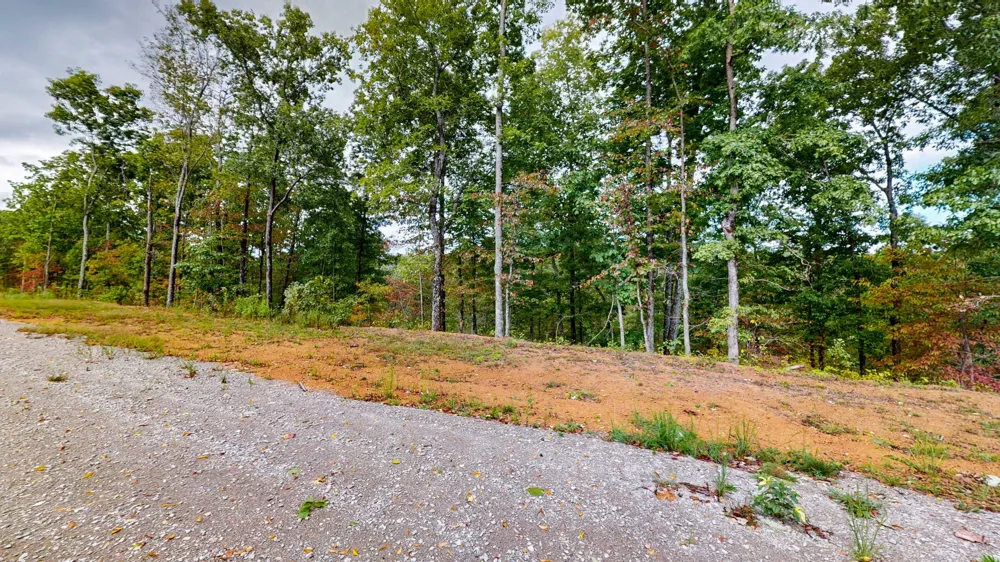 352 Briarwood Dr Linden, TN 37096