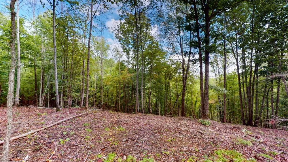 352 Briarwood Dr Linden, TN 37096
