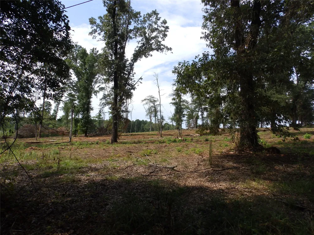 16393 W State Highway 31 Tyler, TX 75709