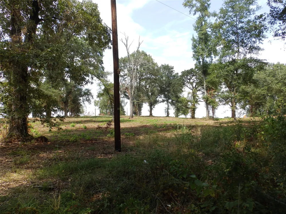 16393 W State Highway 31 Tyler, TX 75709