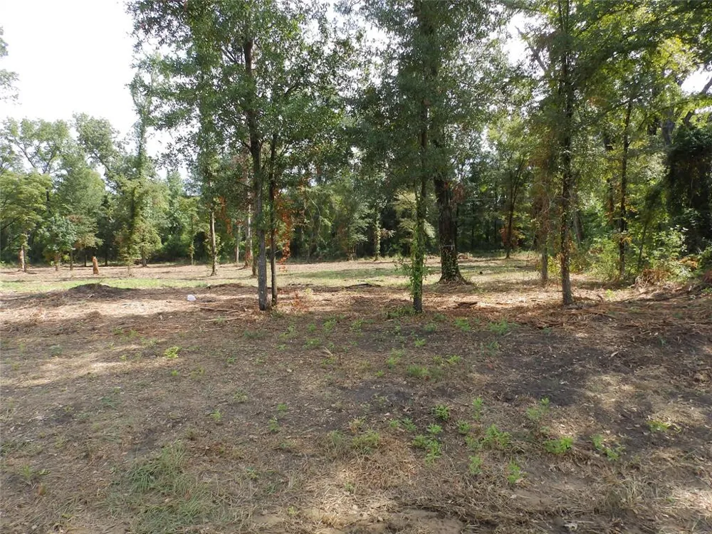 16393 W State Highway 31 Tyler, TX 75709