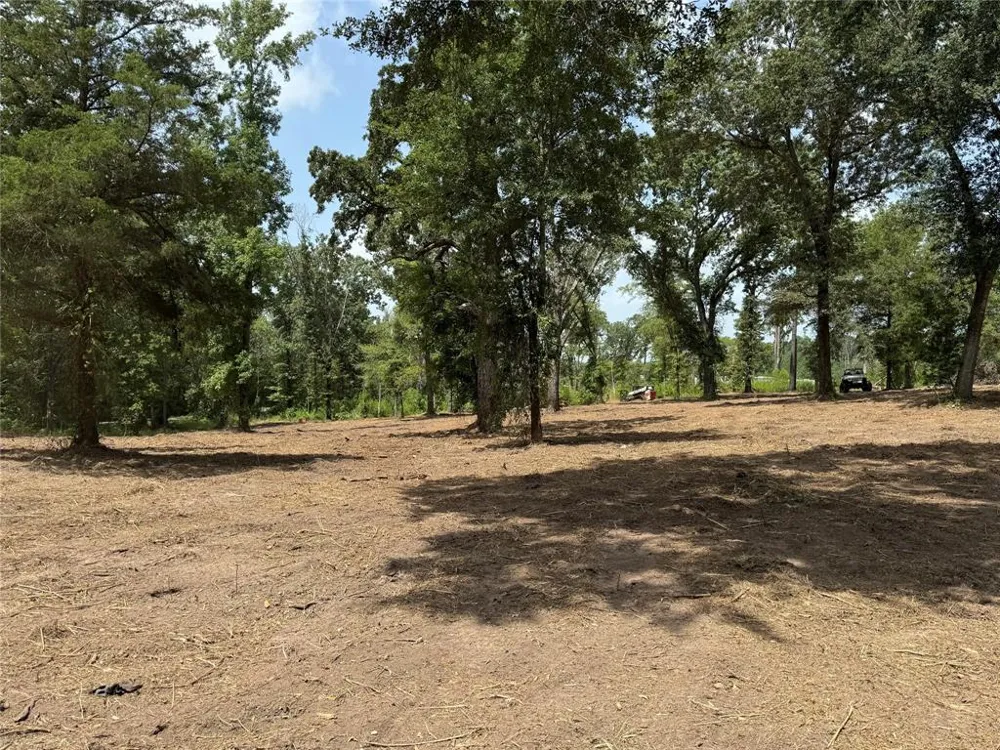 16393 W State Highway 31 Tyler, TX 75709
