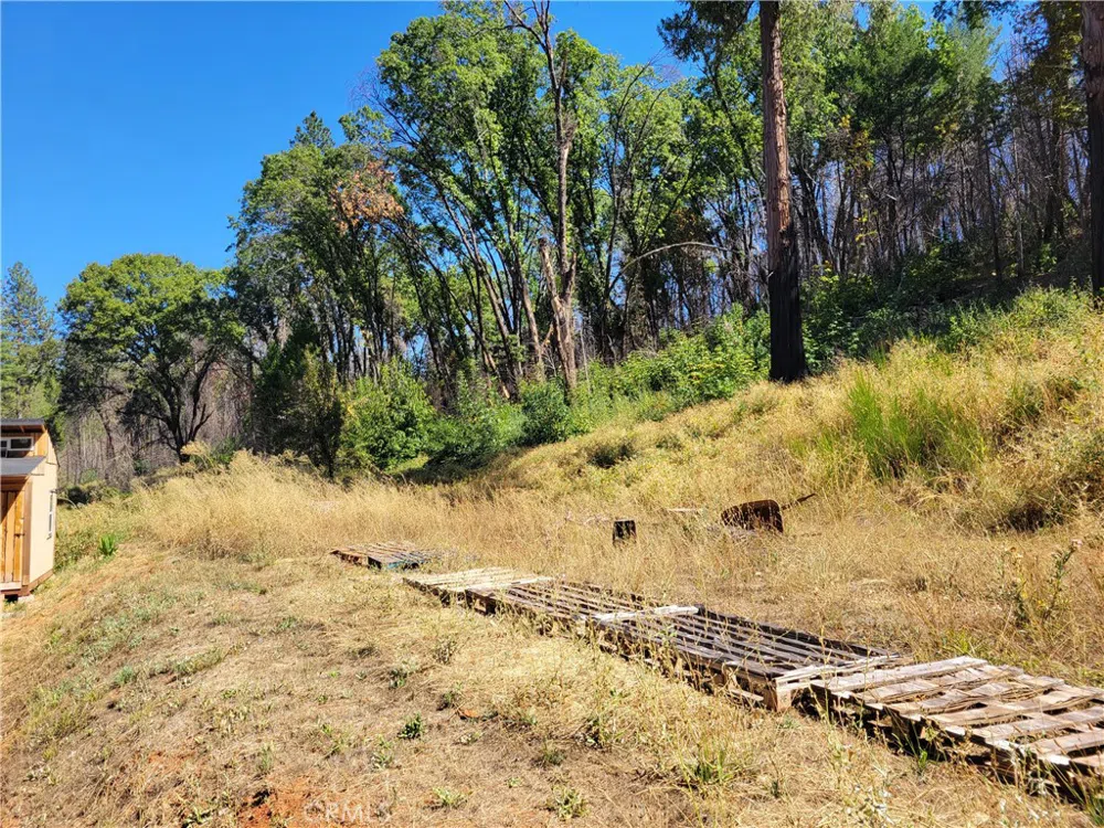 300 Bald Rock Road Berry Creek, CA 95916