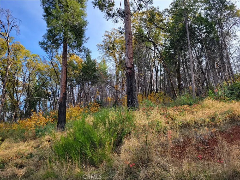 300 Bald Rock Road Berry Creek, CA 95916