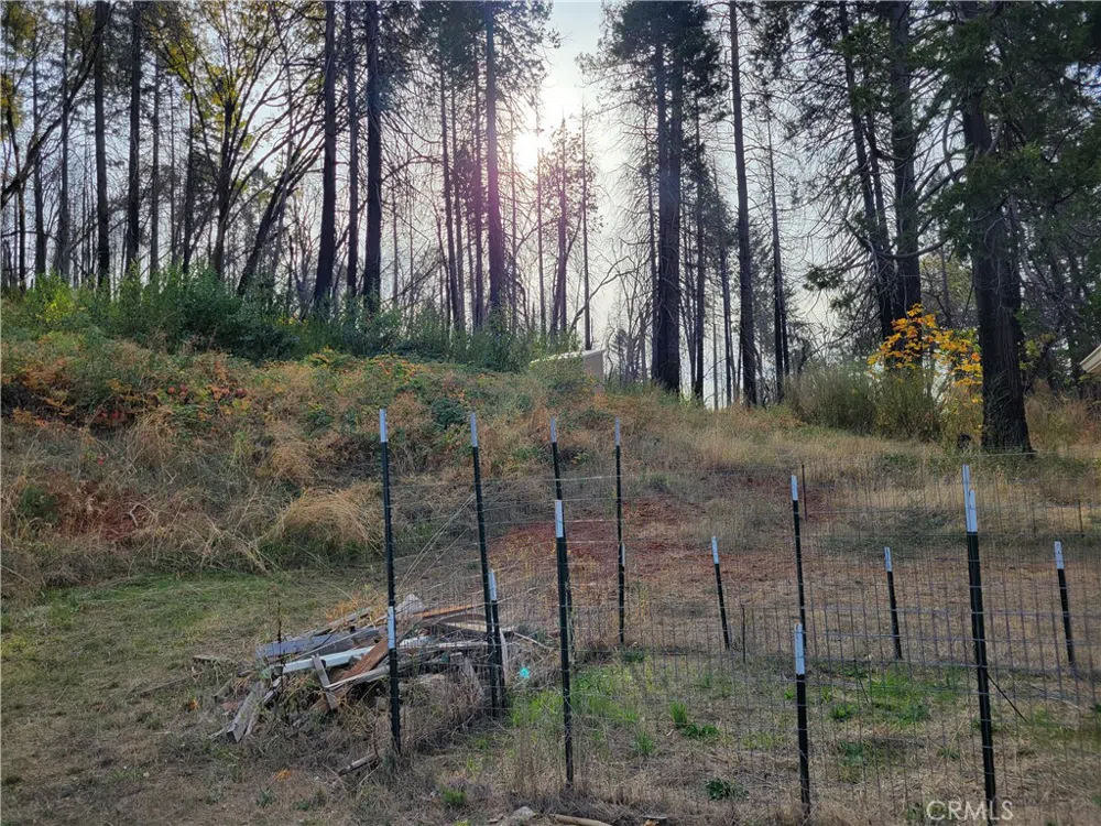 300 Bald Rock Road Berry Creek, CA 95916