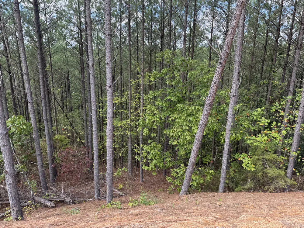 1406 Hillbrook Dr Linden, TN 37096