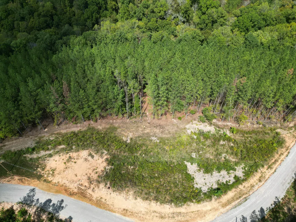 1406 Hillbrook Dr Linden, TN 37096