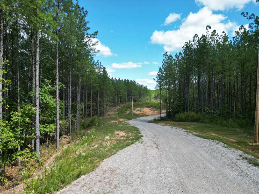 1406 Hillbrook Dr Linden, TN 37096