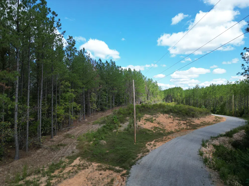 1406 Hillbrook Dr Linden, TN 37096