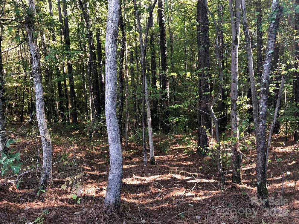Lot 3 Rutan Court #3 Mooresville, NC 28117
