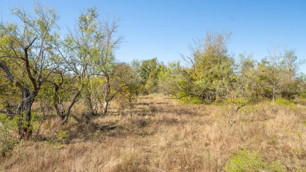 1558 Texas Street Rockdale, TX 76567