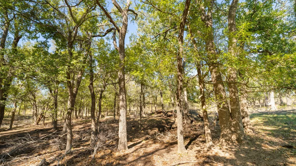 1558 Texas Street Rockdale, TX 76567