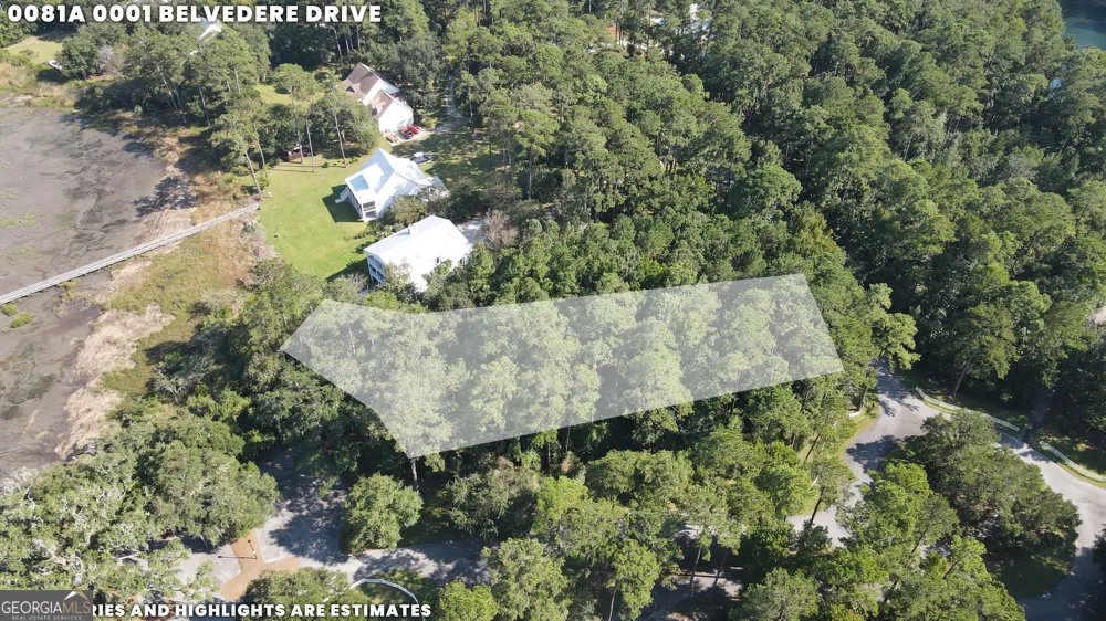 LOT 1 Belvedere DR Townsend, GA 31331