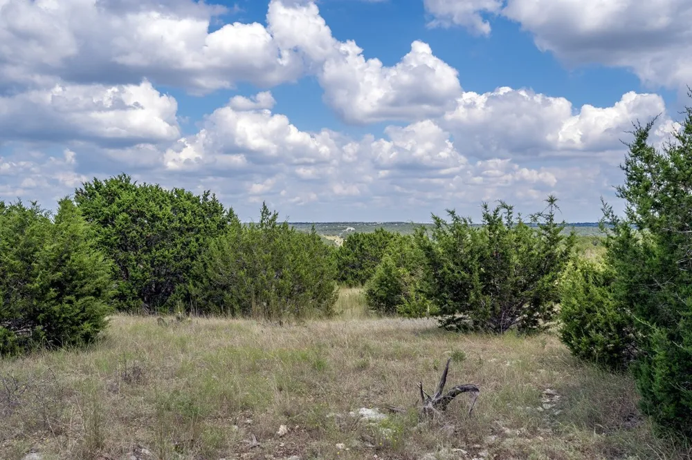 584 Saddle Ridge Drive Bertram, TX 78605
