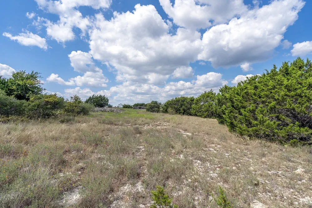 584 Saddle Ridge Drive Bertram, TX 78605