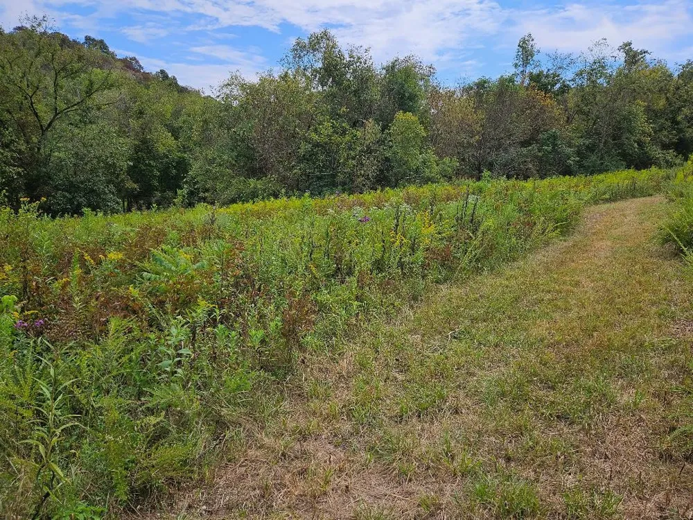 0 Highway 96 Buffalo Valley, TN 38548