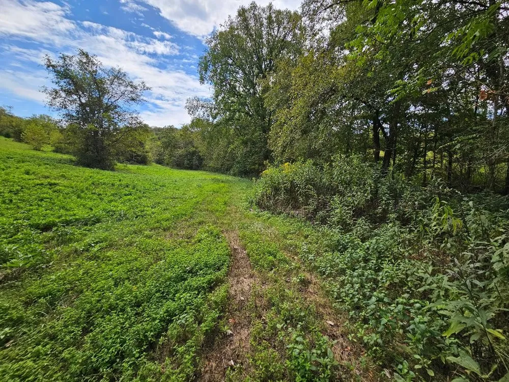 0 Highway 96 Buffalo Valley, TN 38548