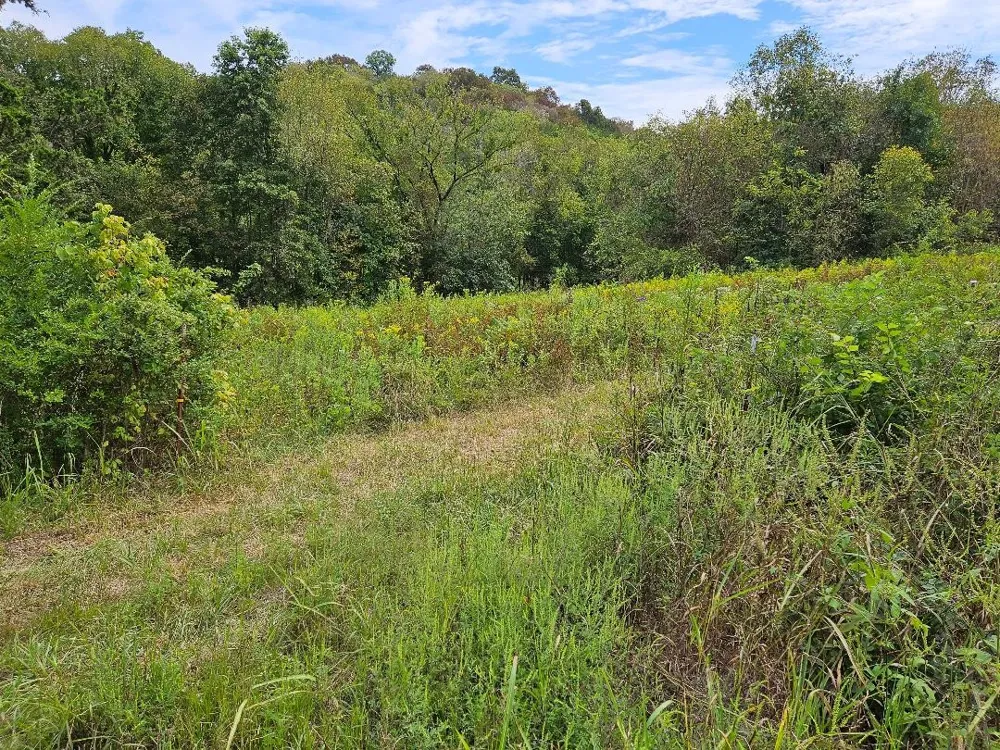 0 Highway 96 Buffalo Valley, TN 38548