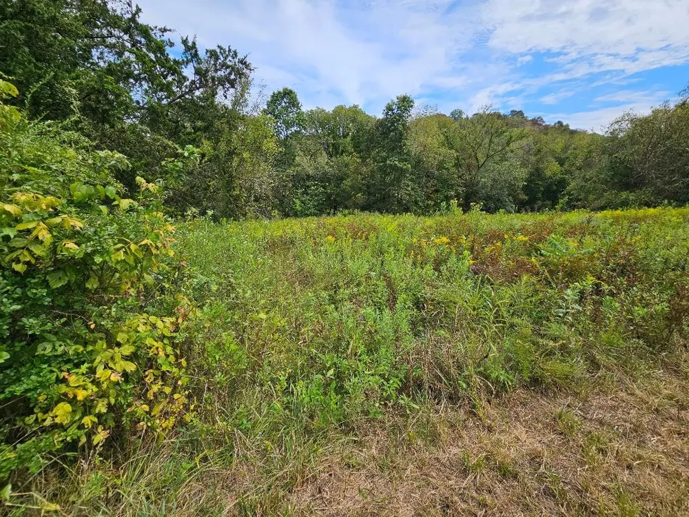 0 Highway 96 Buffalo Valley, TN 38548