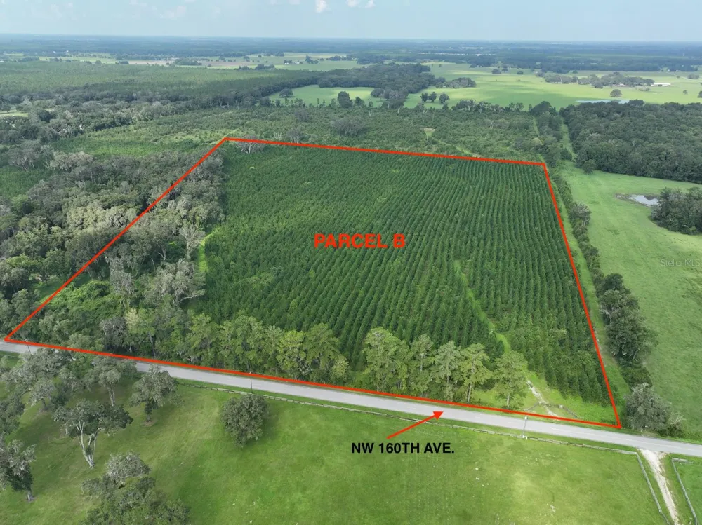 Parcel B NW 160TH AVENUE Morriston, FL 32668