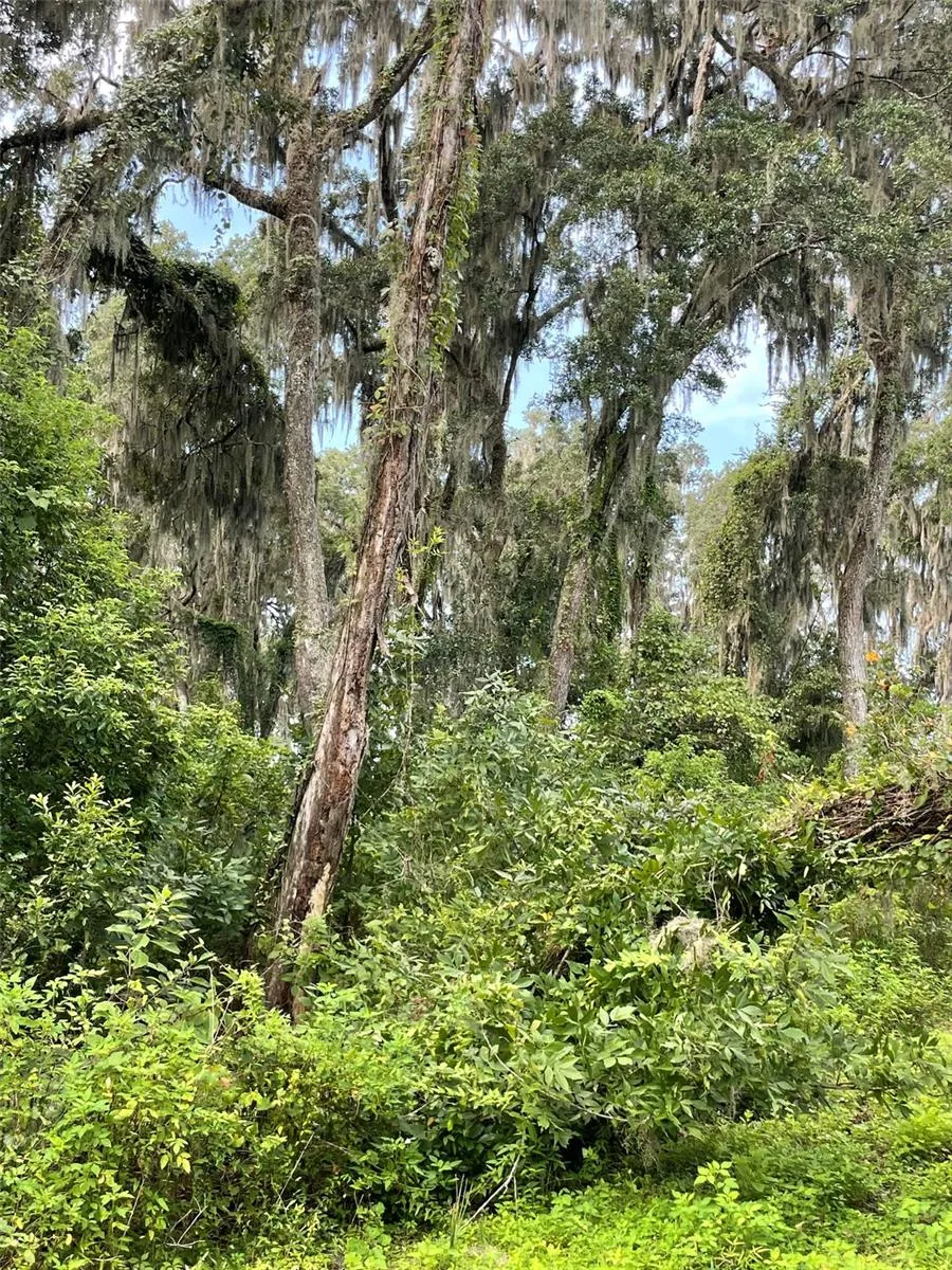 Parcel B NW 160TH AVENUE Morriston, FL 32668