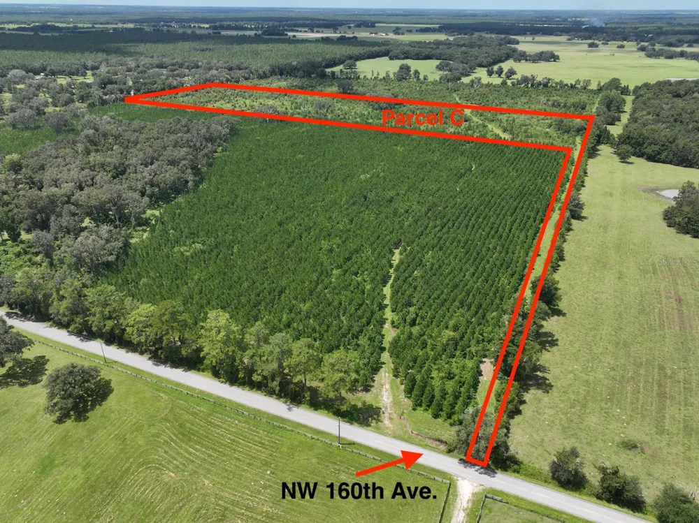 Parcel C NW 160TH AVENUE Morriston, FL 32668