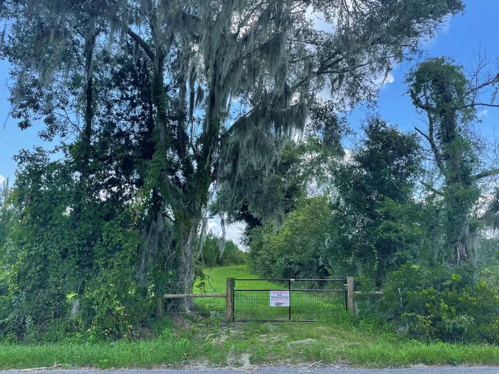 Parcel C NW 160TH AVENUE Morriston, FL 32668