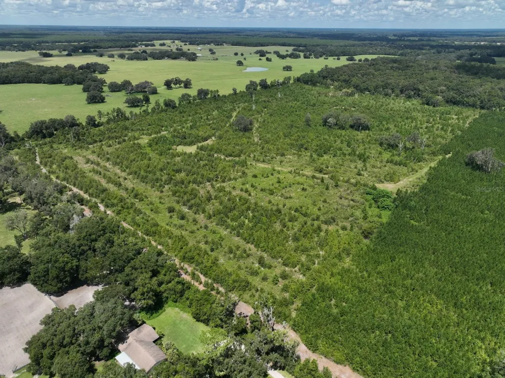 Parcel C NW 160TH AVENUE Morriston, FL 32668