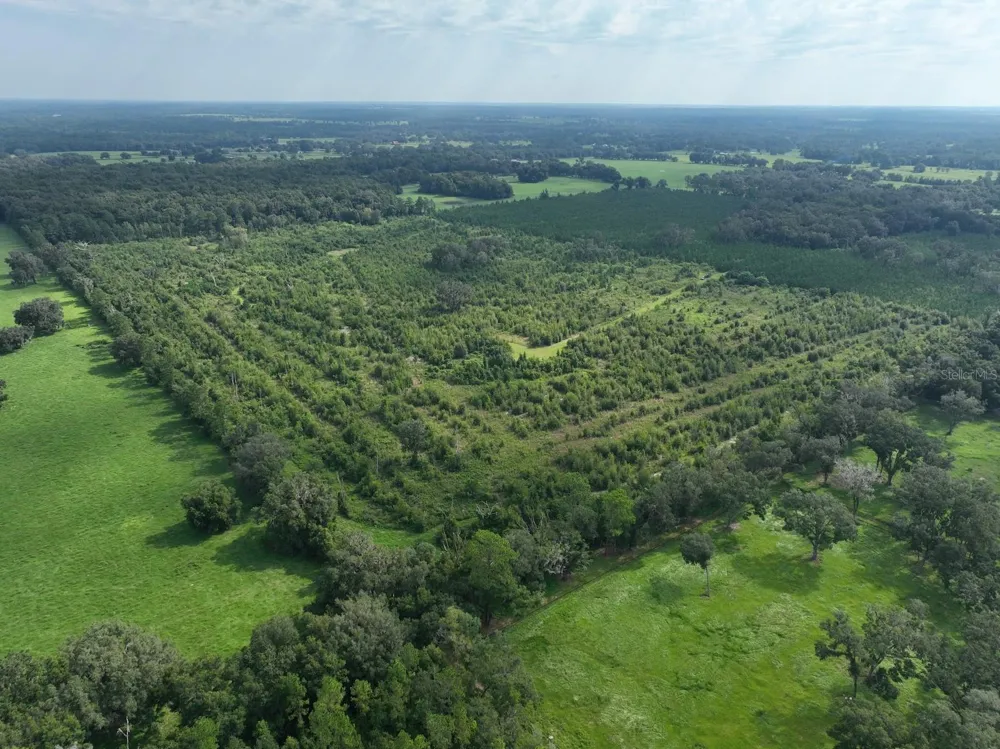 Parcel C NW 160TH AVENUE Morriston, FL 32668