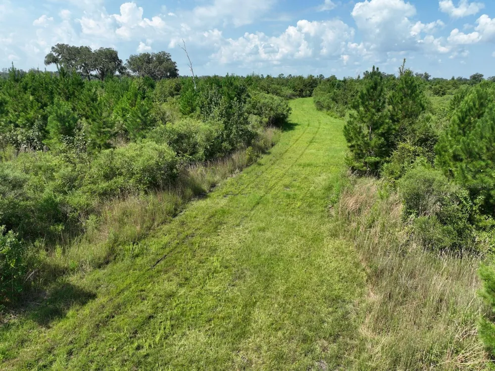 Parcel C NW 160TH AVENUE Morriston, FL 32668