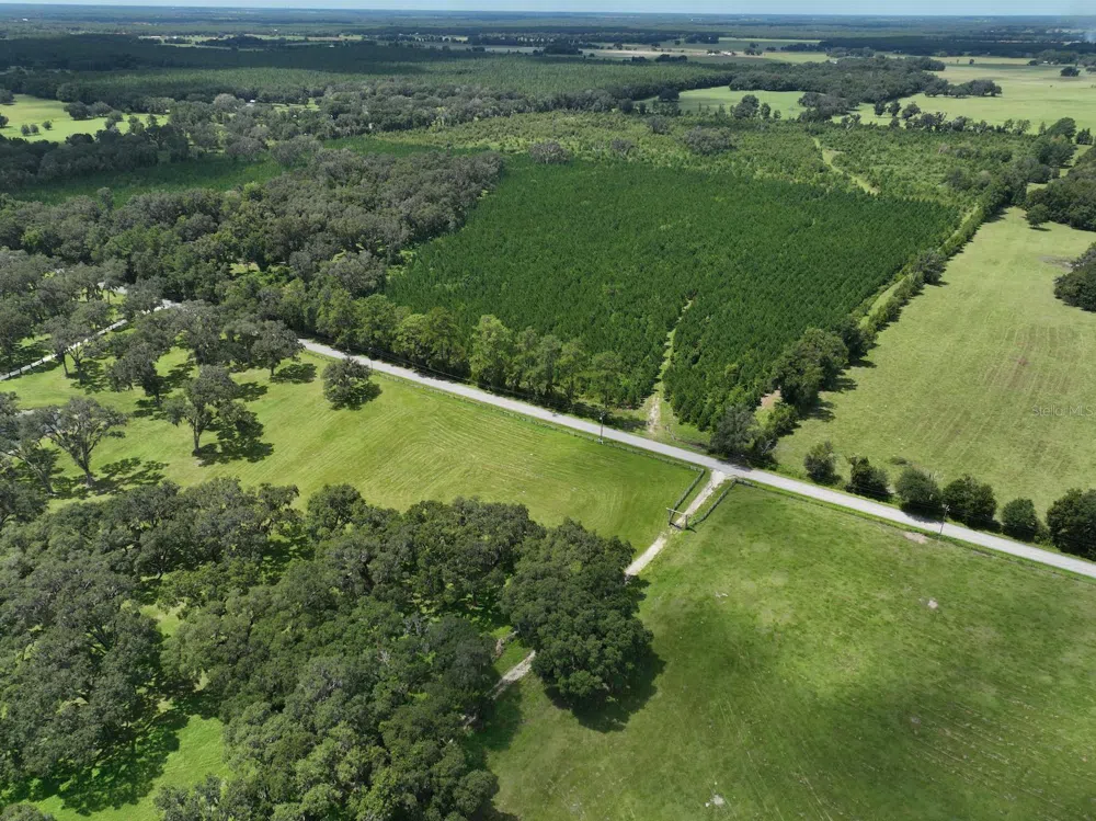 Address Not Shown Morriston, FL 32668