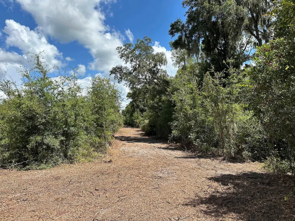 Address Not Shown Morriston, FL 32668