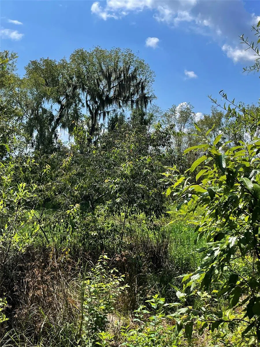 Address Not Shown Morriston, FL 32668