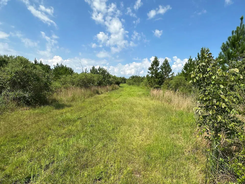 Address Not Shown Morriston, FL 32668