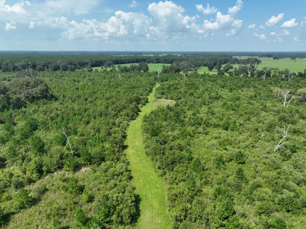 Address Not Shown Morriston, FL 32668