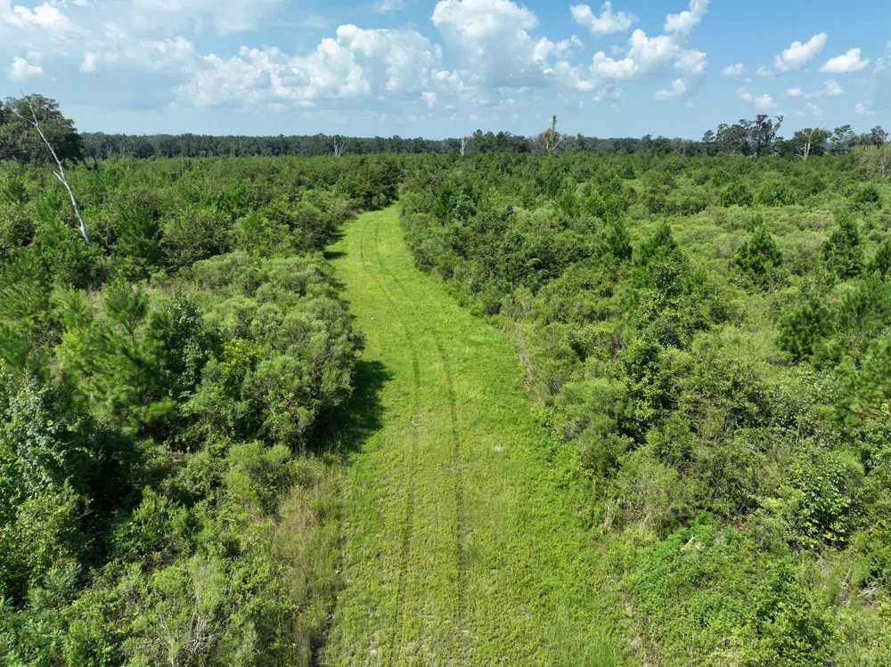 Address Not Shown Morriston, FL 32668
