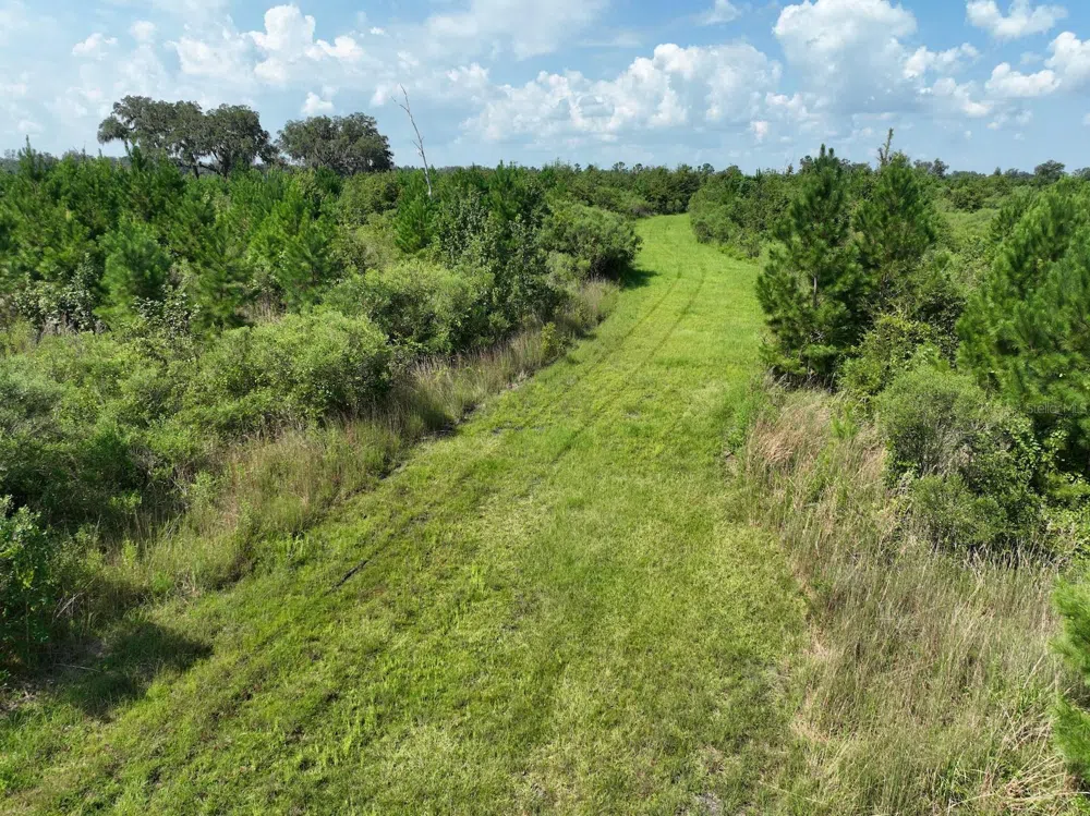 Address Not Shown Morriston, FL 32668
