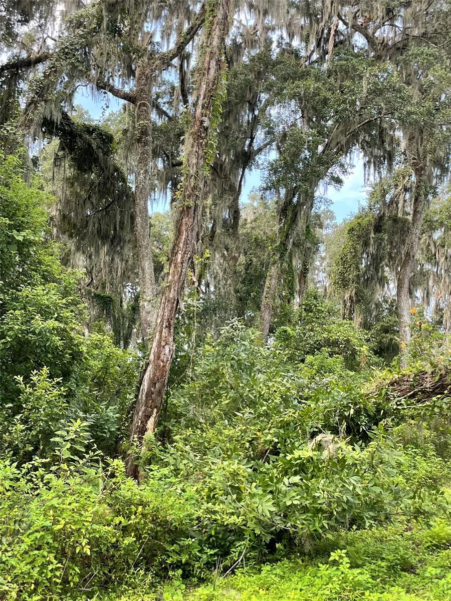 Address Not Shown Morriston, FL 32668