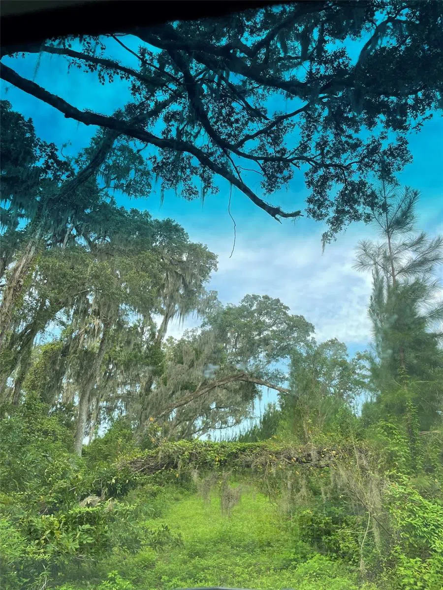 Address Not Shown Morriston, FL 32668