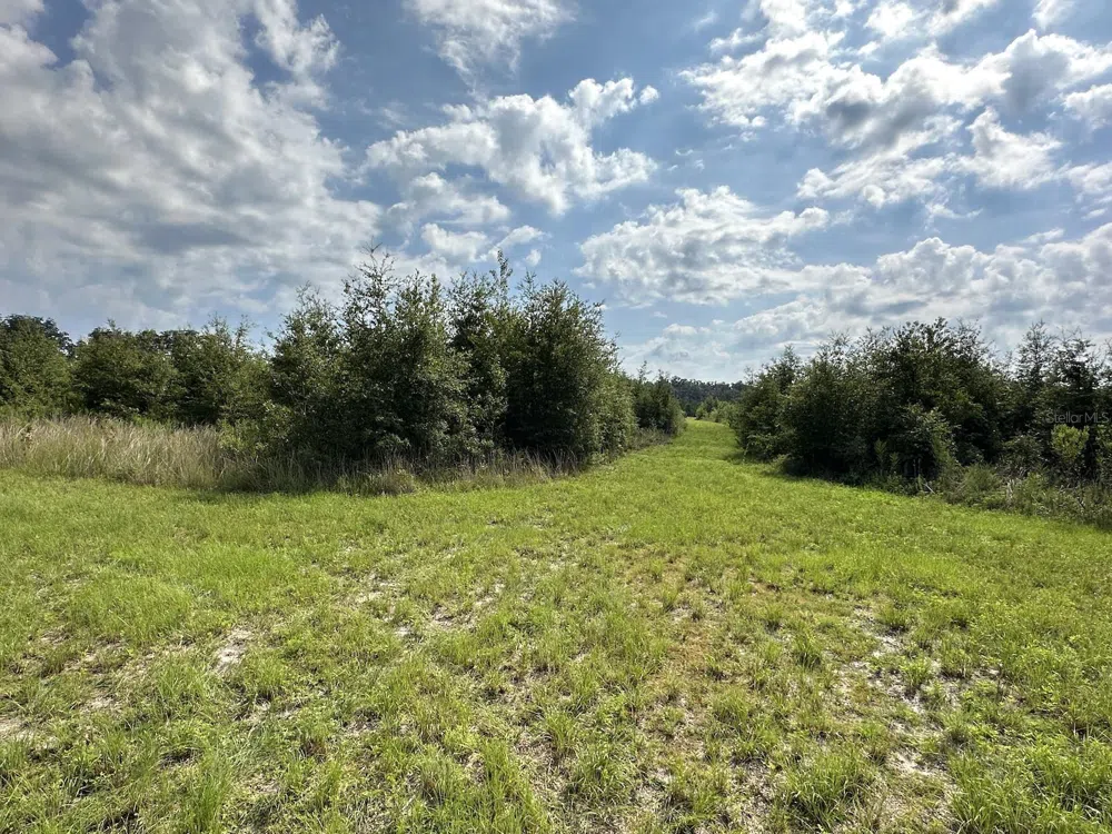 Address Not Shown Morriston, FL 32668