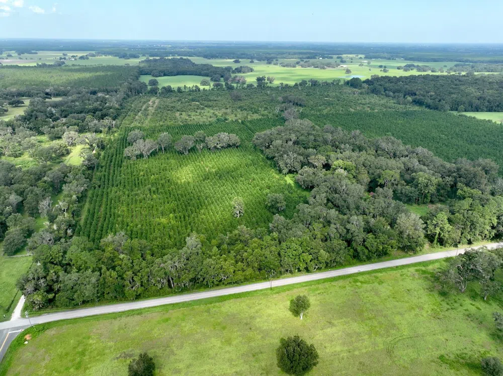 Address Not Shown Morriston, FL 32668