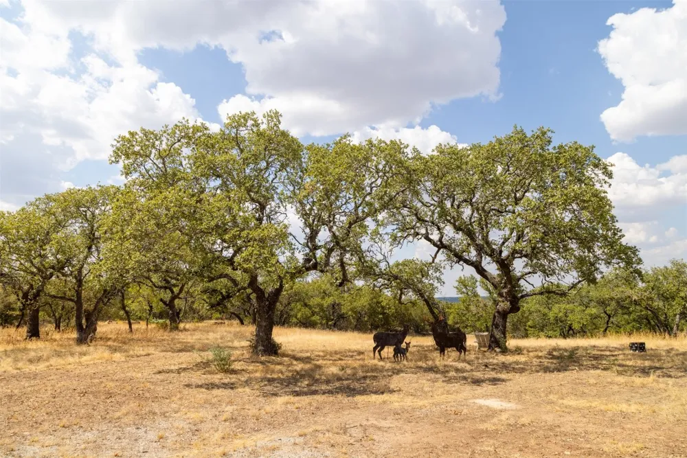 38 County Road 550 Mullin, TX 76864