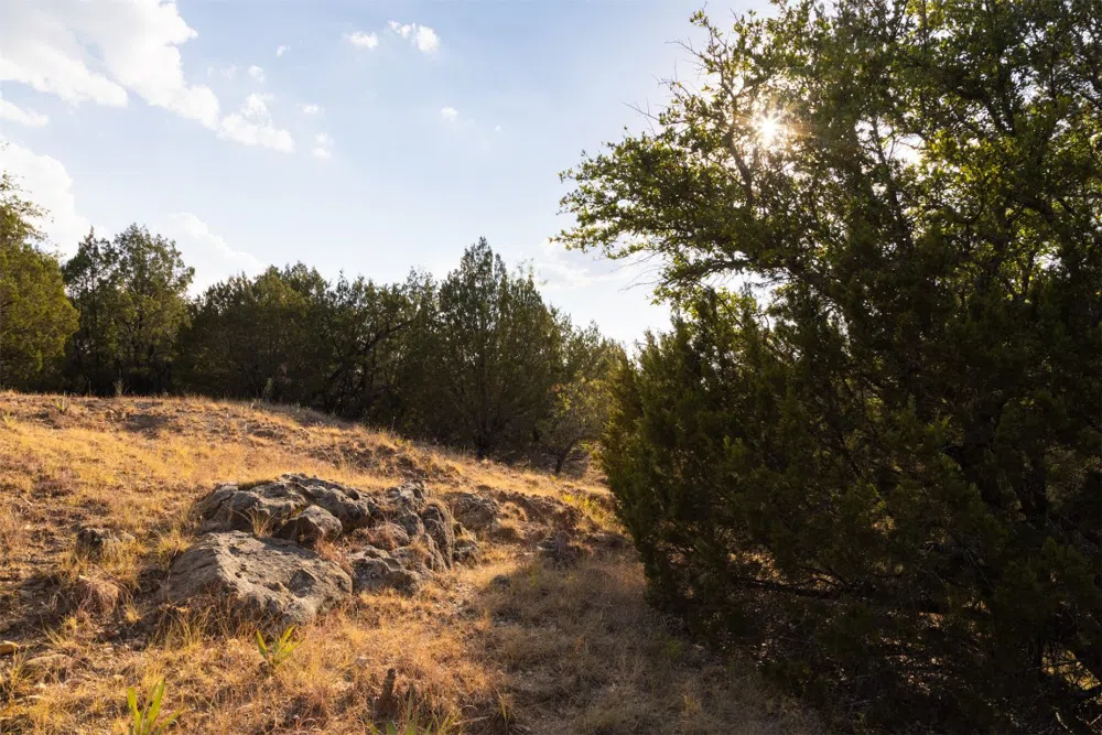 38 County Road 550 Mullin, TX 76864