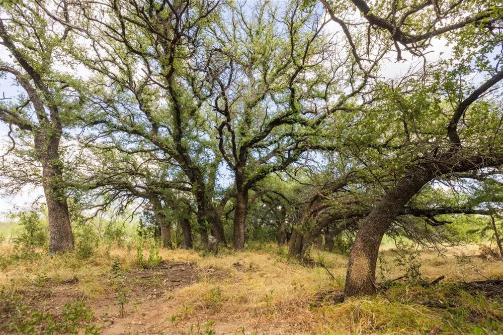38 County Road 550 Mullin, TX 76864