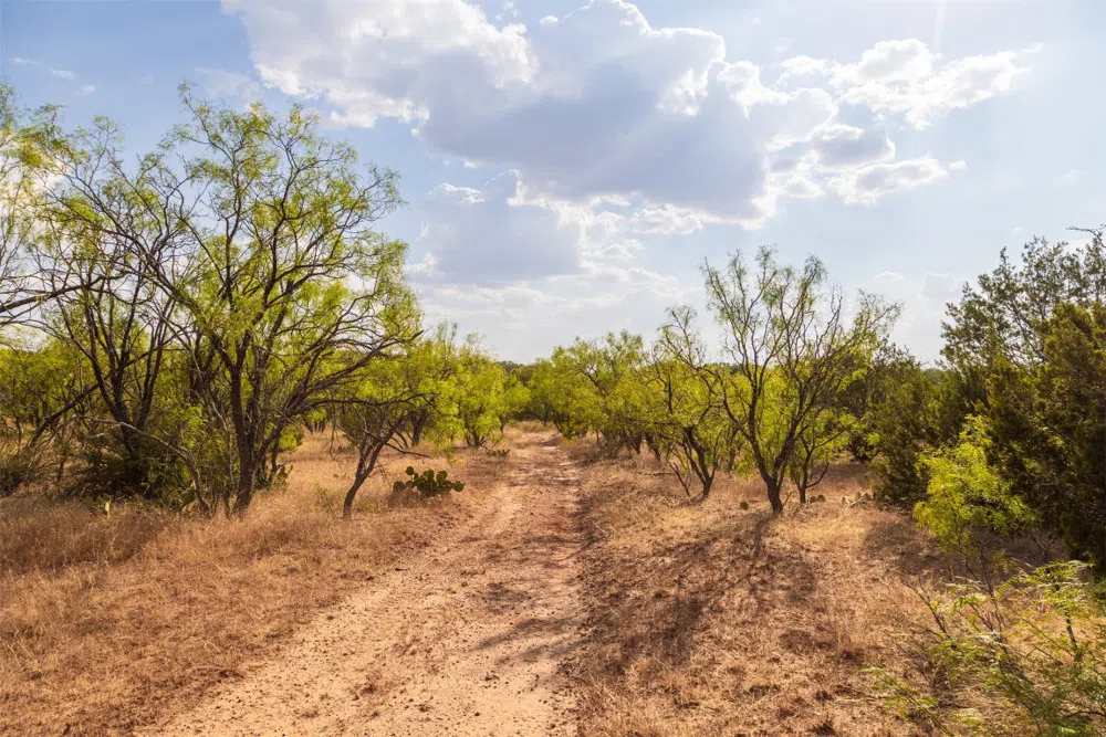 38 County Road 550 Mullin, TX 76864