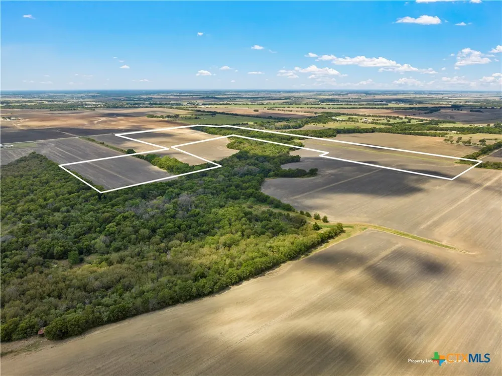 Hlavenka Road West, TX 76691