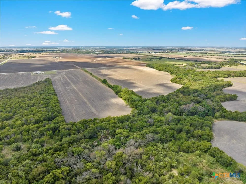 Hlavenka Road West, TX 76691