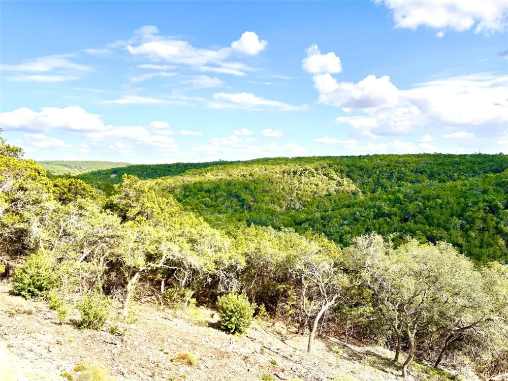 256 Clinch Drive Fischer, TX 78623