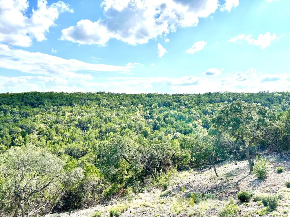 256 Clinch Drive Fischer, TX 78623